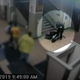 Illustration for article titled New Video Shows Students Account of What Chicago Police Did to Her Was Exactly as Bad as She Said